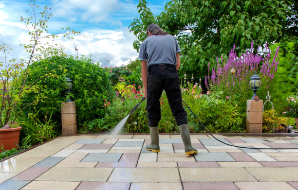 Best Fence Cleaning  in Ammon, ID